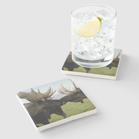 Elche Steinuntersetzer (Seitenansicht)