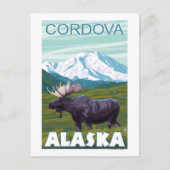 Elche Szene - Cordova, Alaska Postkarte (Vorderseite)