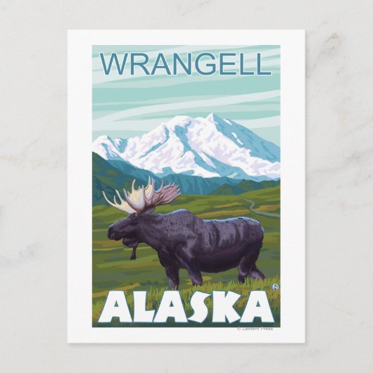 Elche Szene - Wrangell, Alaska Postkarte (Vorderseite)