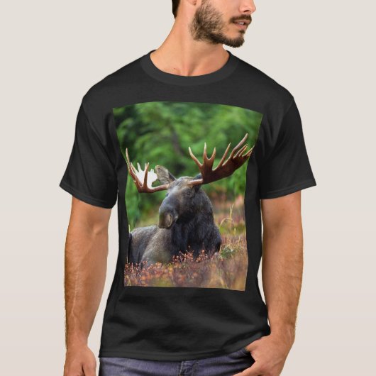 Elche T - Shirt (Vorderseite)