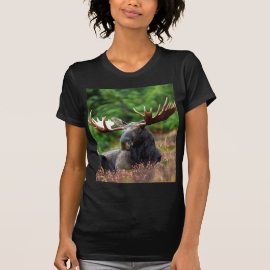 Elche T - Shirt (Vorderseite)