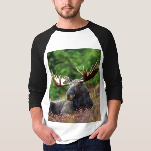 Elche T - Shirt (Vorderseite)