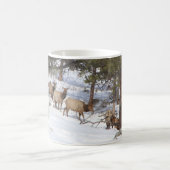 Elche Tasse (Mittel)