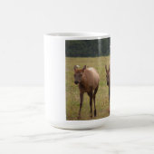 Elche Tasse (Mittel)