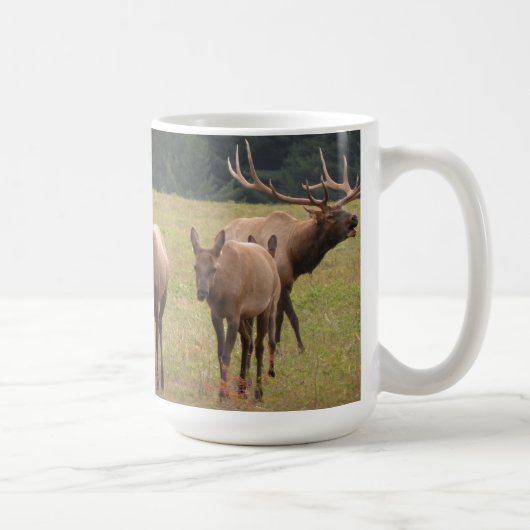 Elche Tasse (Rechts)