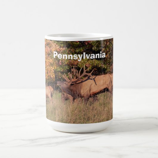 Elche Tasse (Mittel)