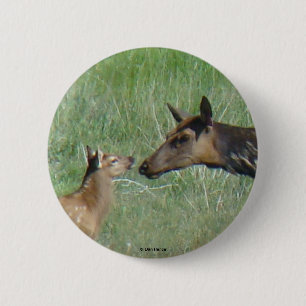 Elche und Kalb der Kuh-E3 Button