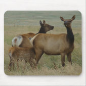 Elche und Kalb der Kuh-E61 Mousepad (Vorne)