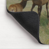 Elche und Kälber der Kuh-E44 Mousepad (Ecke)