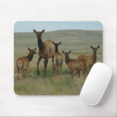 Elche und Kälber der Kuh-E44 Mousepad (Mit Mouse)