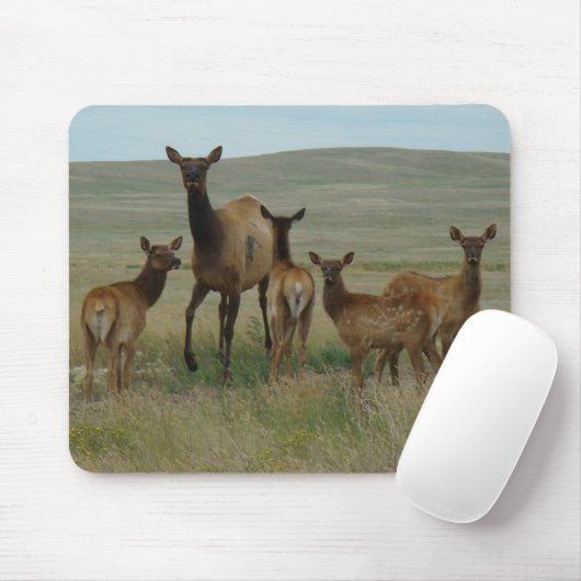 Elche und Kälber der Kuh-E44 Mousepad (Mit Mouse)