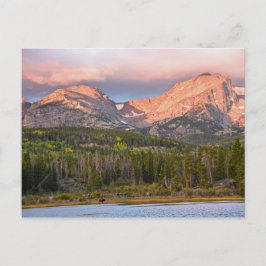 Elche und Touristen am Sprague Lake, Colorado Postkarte