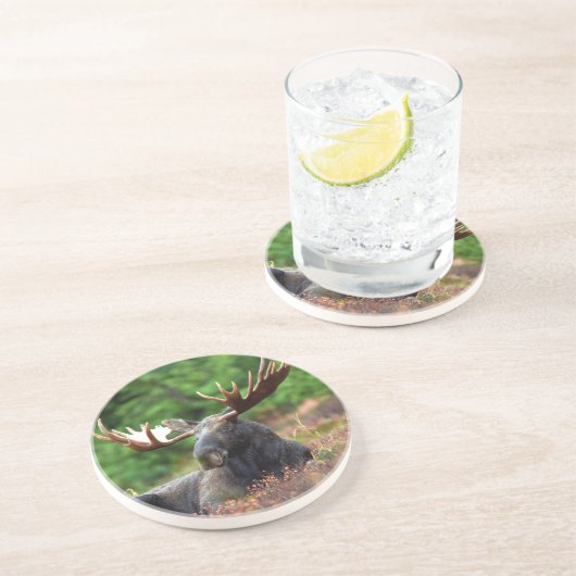 Elche Untersetzer (Seite)