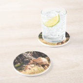 Elche Untersetzer (Seite)