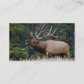 Elche Visitenkarte (Rückseite)