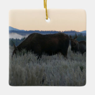 Elche weiden bei Sonnenaufgang am Grand Teton Keramikornament