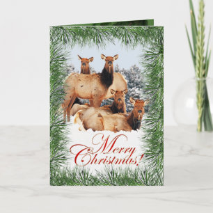 Elche Weihnachtsgrüße Karte