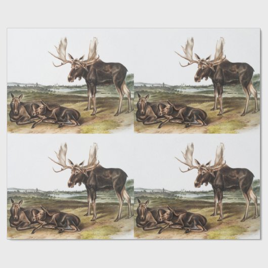 Elchhirsch (Servus alces) Illustration Geschenkpapier (Flach)