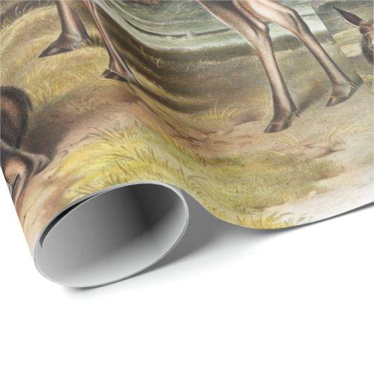 Elchhirsch (Servus alces) Illustration Geschenkpapier (Rolleneckpunkt)