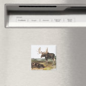 Elchhirsch (Servus alces) Illustration Magnet (In Situ (Geschirrspüler))