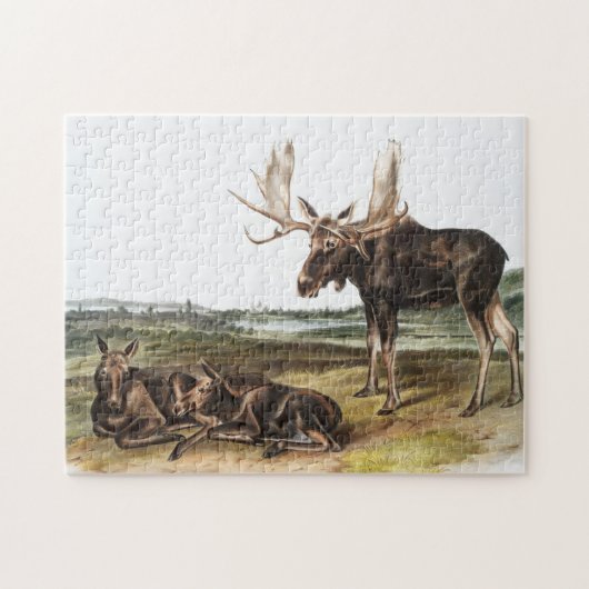 Elchhirsch (Servus alces) Illustration Puzzle (Horizontal)