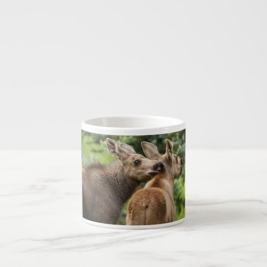 Elchkalben Espressotasse (Vorderseite)