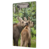 Elchkalben Klemmbrett (Links)