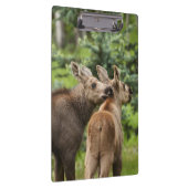 Elchkalben Klemmbrett (Rechts)