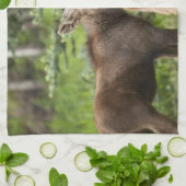 Elchkalben Küchentuch (Gefaltet)