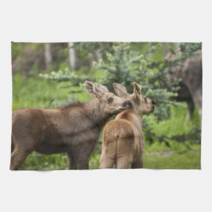 Elchkalben Küchentuch