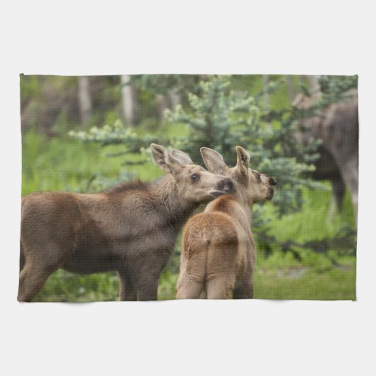 Elchkalben Küchentuch (Horizontal)