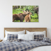 Elchkalben Leinwanddruck (Insitu (Schlafzimmer))