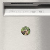 Elchkalben Magnet (In Situ (Geschirrspüler))