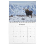 Elchkalender - Große Größe Kalender (Jan 2027)