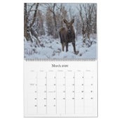 Elchkalender - Große Größe Kalender (Mär 2026)