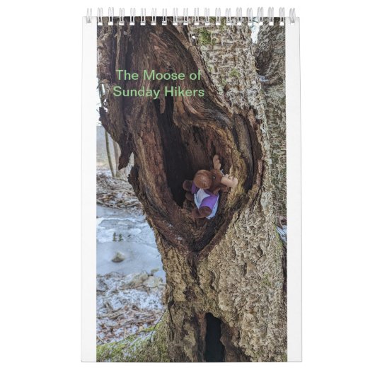 Elchkalender Kalender (Titelbild)