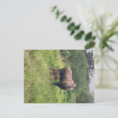 Elchmutter und -baby postkarte (Stehend Vorderseite)