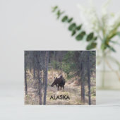 Elchpostkarte Postkarte (Stehend Vorderseite)