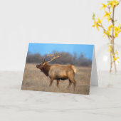 Elchprofil im Herbst Karte (Gelbe Blume)