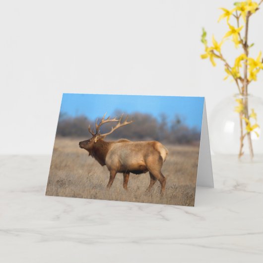 Elchprofil im Herbst Karte (Gelbe Blume)