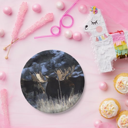 Elchsatz Pappteller (Party)