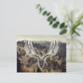 Elchschädel Postkarte (Stehend Vorderseite)