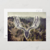 Elchschädel Postkarte (Vorne/Hinten)