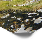 Elchskelett Poster (Ecke)