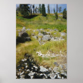 Elchskelett Poster (Vorne)