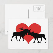 Elchstier und Kuh Postkarte (Vorne/Hinten)