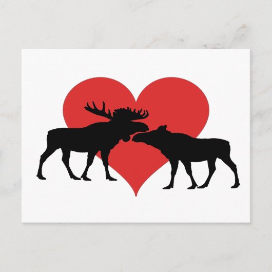 Elchstier und Kuh Postkarte (Vorderseite)
