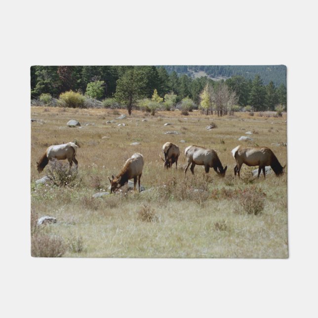 Elchtürmatte Fußmatte (Vorderseite)