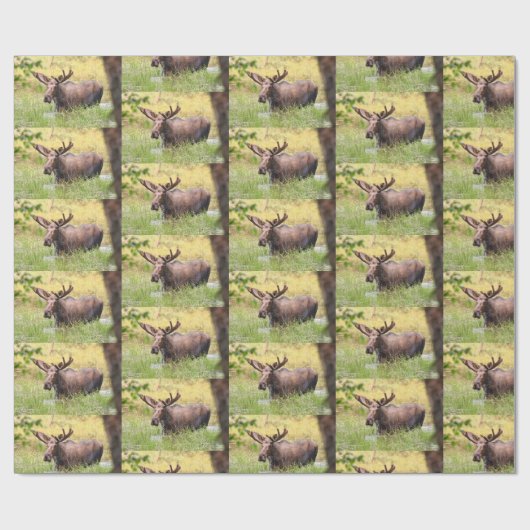 Elchverpackungspapier Geschenkpapier (Flach)