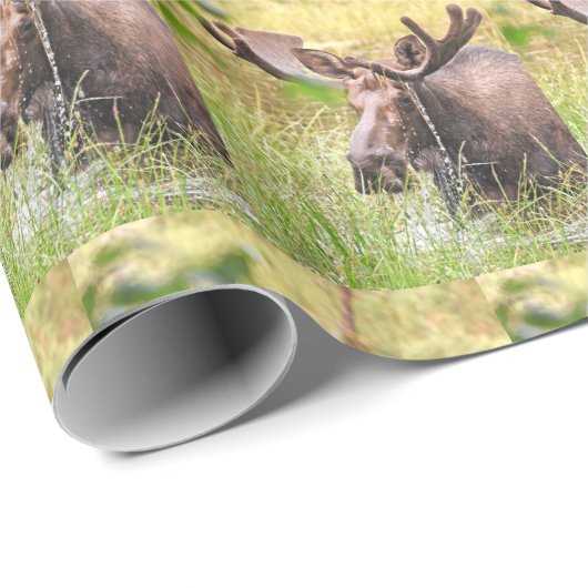 Elchverpackungspapier Geschenkpapier (Rolleneckpunkt)
